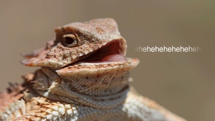 Lizard Squad e stata ufficialmente smantellata