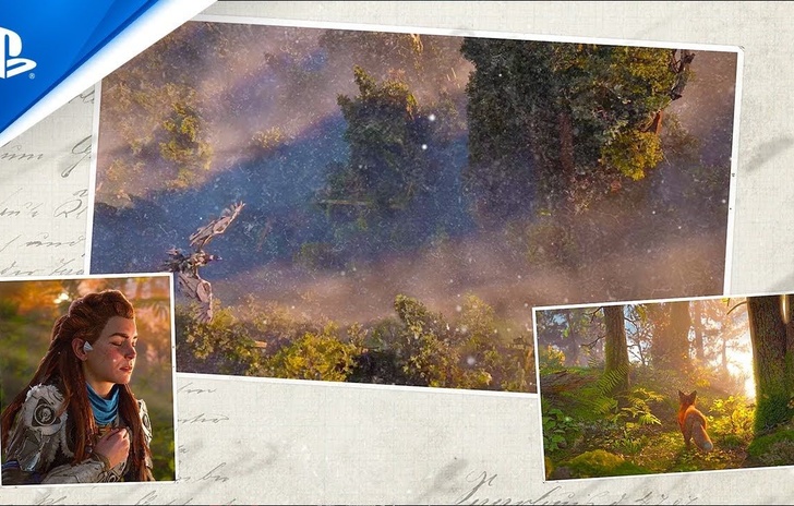 Liniziativa Aloys Forest ha piantato 600000 alberi nel mondo