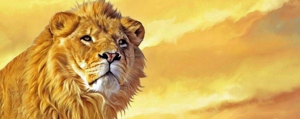 Pronta la sceneggiatura della Sedia D'Argento