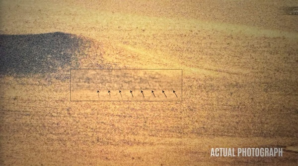 S4: La Storia Di Bob Lazar&shy;: UFO si o UFO no? 