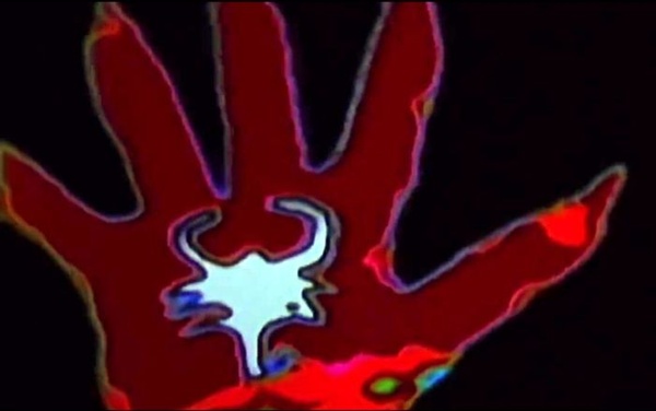 Predator 5 Movie Collection &ndash; Speciale edizione 4K Eagle Pictures 