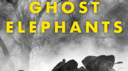 Ghost Elephants