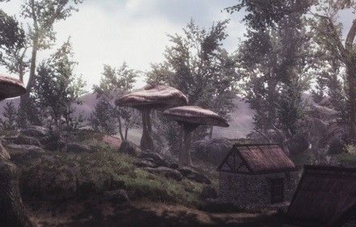Skywind torna a farsi vedere