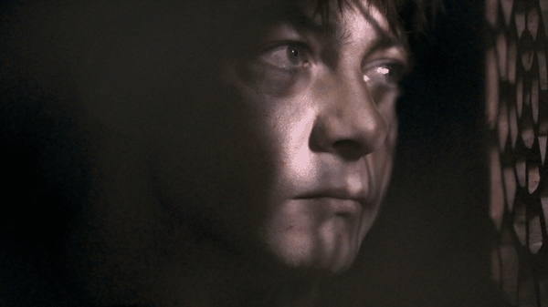 L'uomo nel bosco, la recensione del thriller che ha fatto innamorare i cinefili francesi