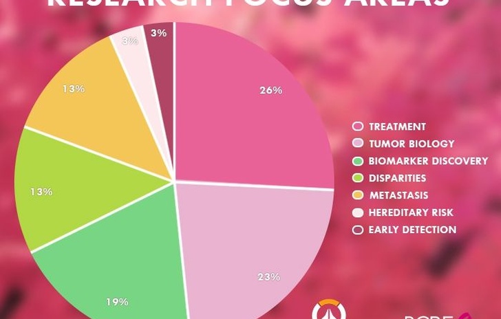 La Skin di Mercy Pink porta a casa ben 12 milioni in beneficenza