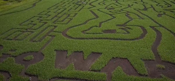 Il nuovo trailer di Anthem e enigmatico