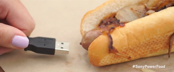 Sony trae energia dai principi nutritivi basilari