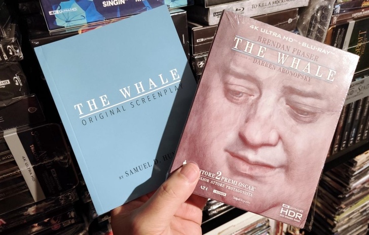 The Whale  Il 4K che non ti aspetti