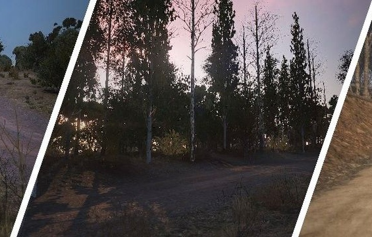 Sébastien Loeb Rally Evo svela le condizioni di luce