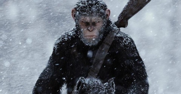 I nostri pronostici per la notte più importante del cinema