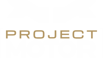 Project Motor Racing