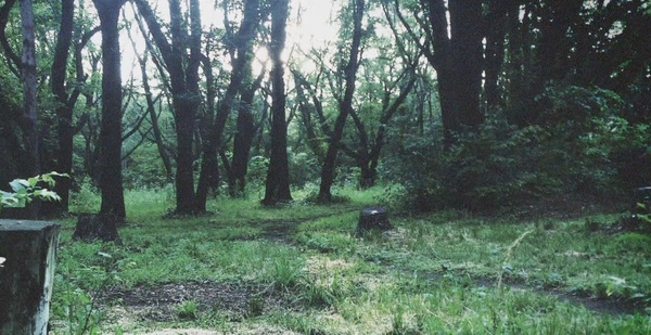 Un survival horror firmato Kojima? Impossibile