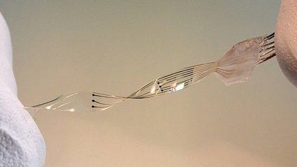 Un impianto neurale molto ''cyberpunk'' sta per diventare realta