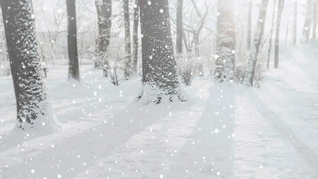 5 SnowSet Films to Watch According to Forecasts