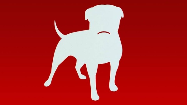 Zynga licenza il 18% del suo personale