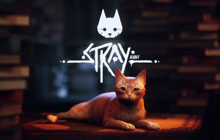 Stray ha una data su Xbox