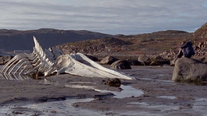 Trailer Italiano Ufficiale