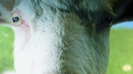 Goat Simulator belera su Xbox One