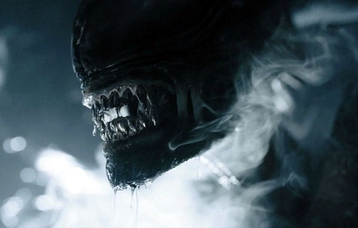 Alien Romulus Ipotesi sequel secondo il regista Fede Alvarez