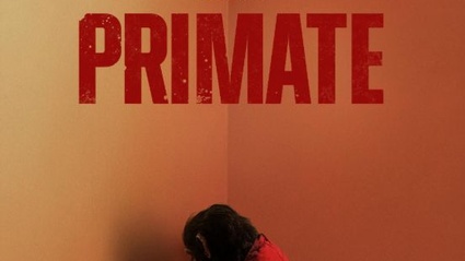 Ben - Rabbia animale (Primate)