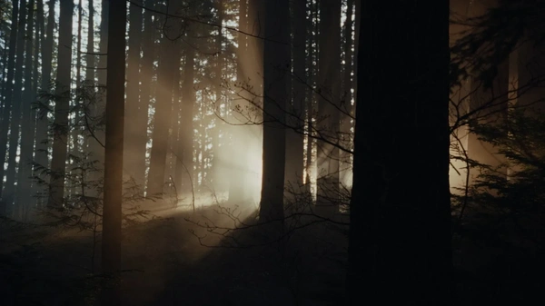 Keeper, tutto quello che c&rsquo;&egrave; da sapere: l&rsquo;horror folk che punta su tensione e ambiguit&agrave; 