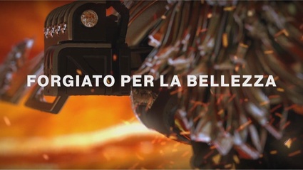 Prenotazione Astore Iron Gjallarwing