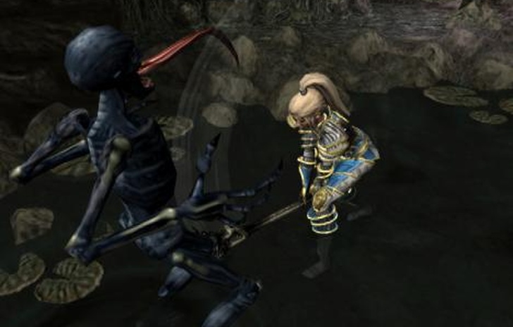 Champions of Norrath