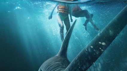 The Bay (2026)