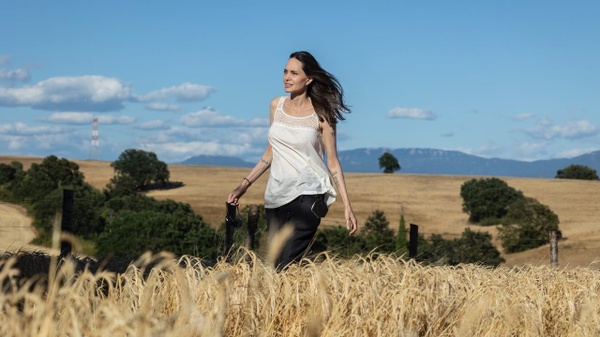 "Dobbiamo proteggere i più vulnerabili": Angelina Jolie presenta Without Blood, suo nuovo film da regista