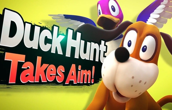 Il cane e lanatra di Duck Hunt su Super Smash Bros