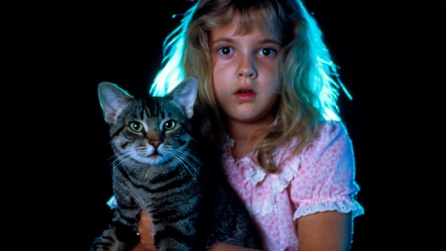 Locchio del gatto recensione Il Bluray 4K visto e ascoltato