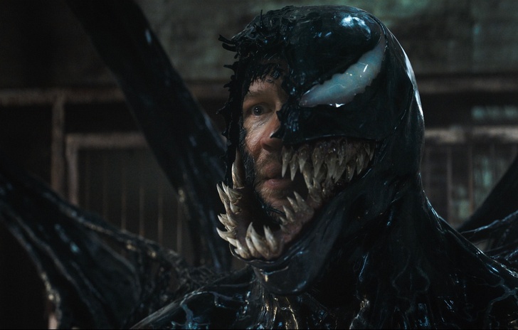 Venom The Last Dance lultimo capitolo della trilogia tutto quello che cè da sapere