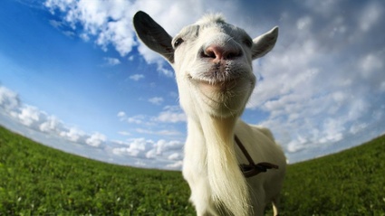 Goat Simulator esagera e Take-Two si arrabbia