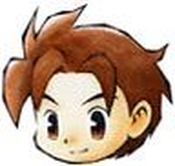 Harvest Moon: A Wonderful Life!