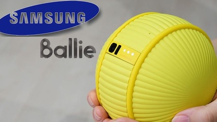 Il vostro prossimo miglior amico? Una palla al piede