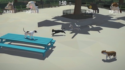 Dog Park
