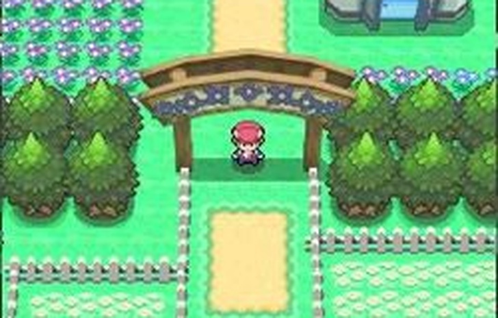 Pokémon Platino