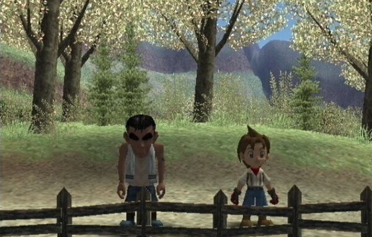 Harvest Moon a Wonderful Life special edition