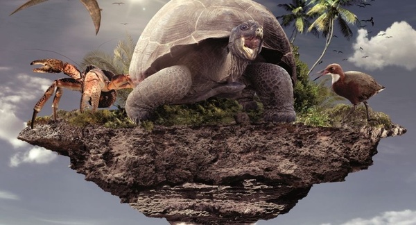 L'isola che non c'e esiste davvero