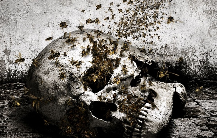 Hivemind il prossimo incubo arriva volando