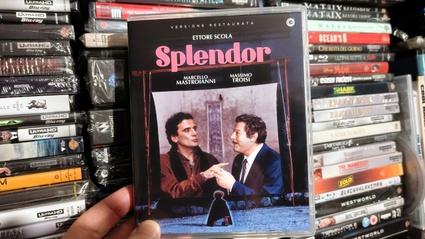 Splendor - Il film di Scola in Blu-ray