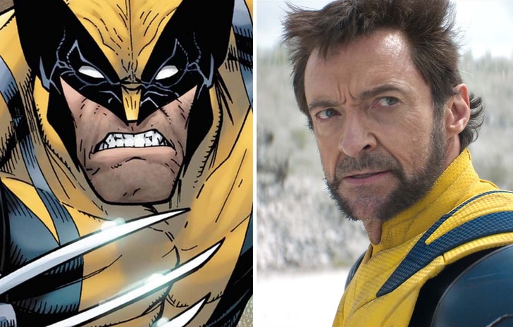 Chi è Wolverine Genesi e sviluppo del personaggio