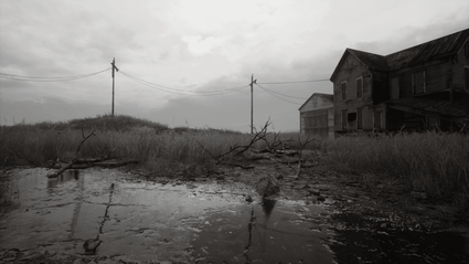 Stray Souls e le ombre di Aspen Falls, la verita in un blog 