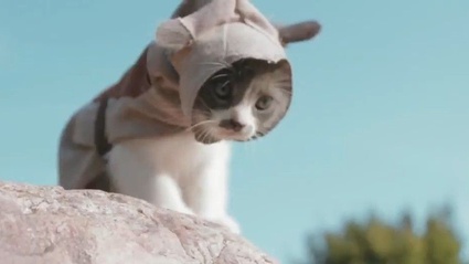 Assassin's Kittens Unity