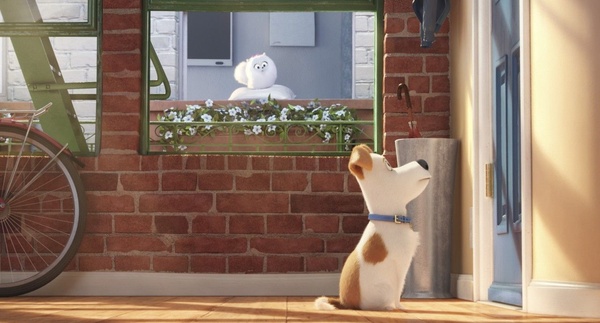 Pets - Vita da Animali parla italiano! Ecco teaser trailer, poster e le prime immagini dal film