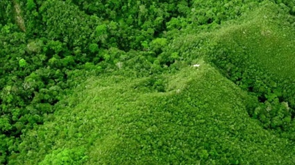 Trailer Italiano Ufficiale