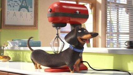 Disponibile il nuovo trailer di Pets - Vita da Animali