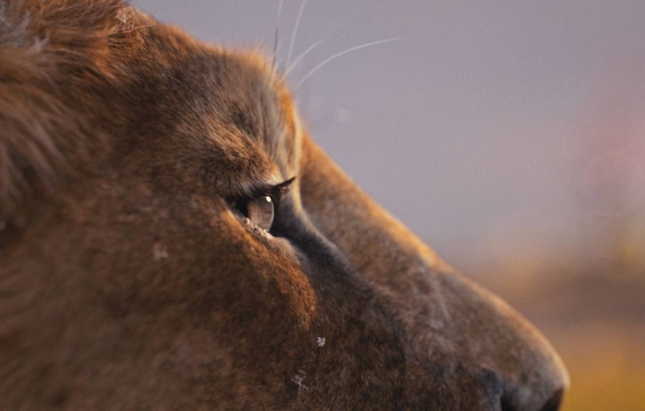 Quando esce Mufasa Il Re Leone in Italia Il prequel del film Disney