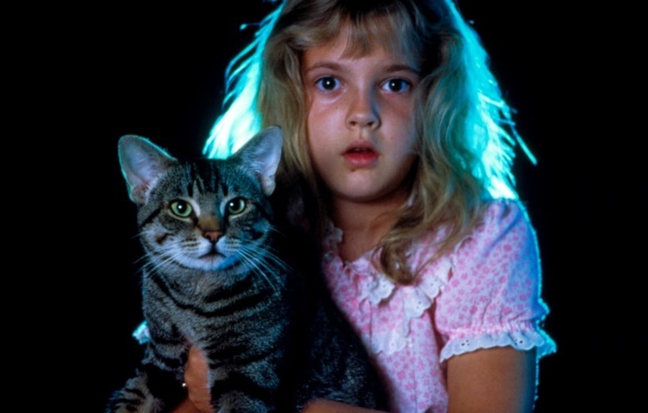 Locchio del gatto recensione Il Bluray 4K visto e ascoltato