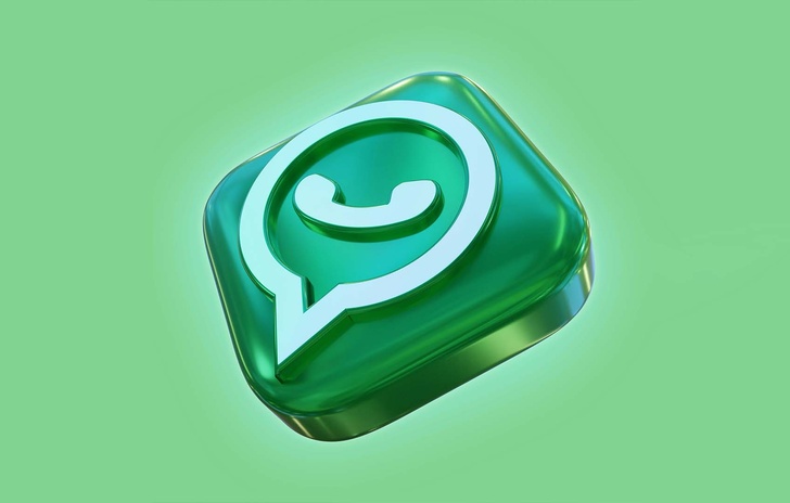WhatsApp Premium How Does the Paid Version Work